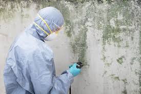 Best Mold Removal for HVAC Installations in Springville, IA